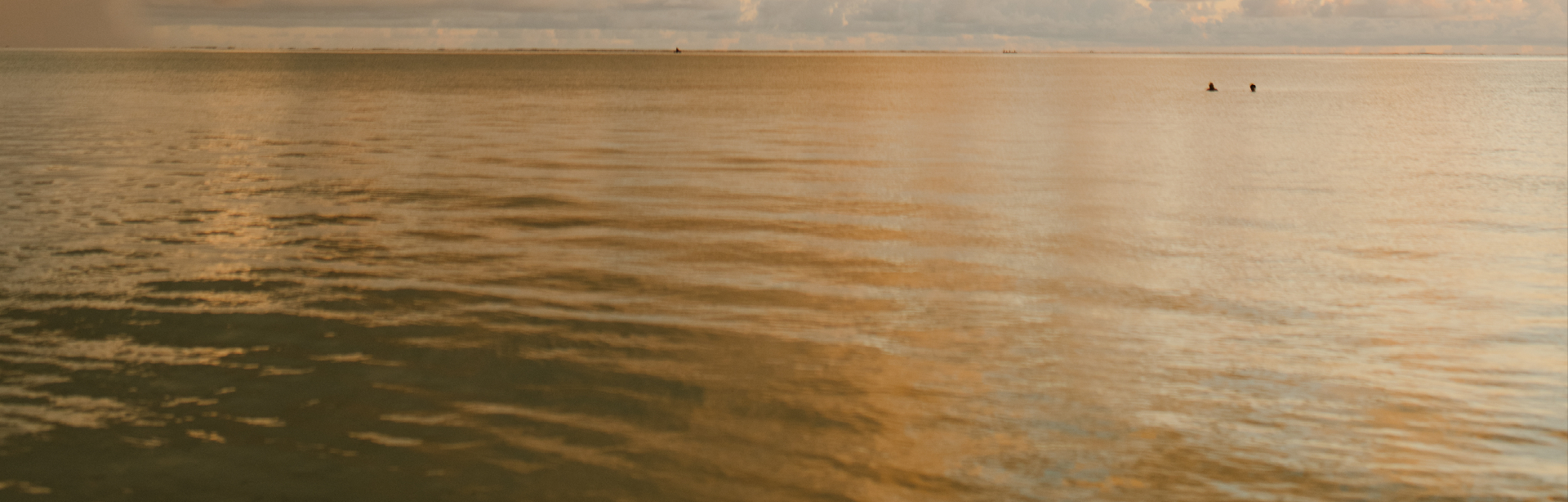 banner image